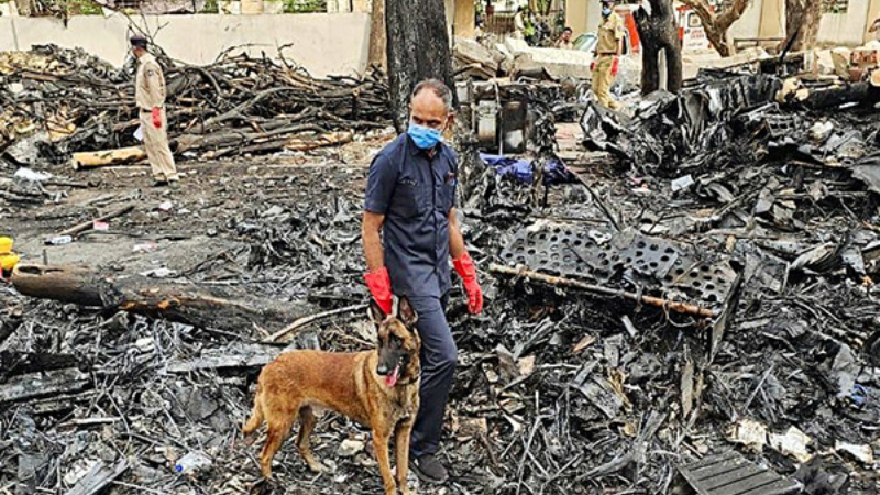 PublicTVEnglish's tweet card. AHMEDABAD: The Additional Medical Superintendent of Ahmedabad's Civil Hospital said on Monday that the DNA sample matches in the Air India plane crash have