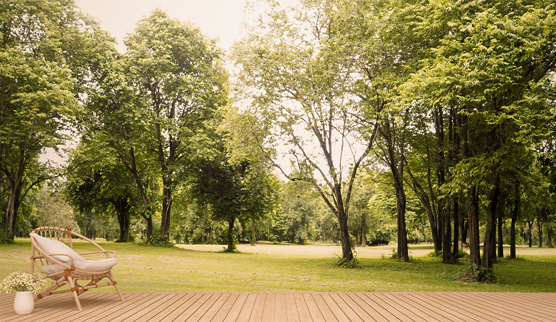 orlandopremiump's tweet card. Spruce up your own backyard and inspire your children to get outside and away from their screens. T...