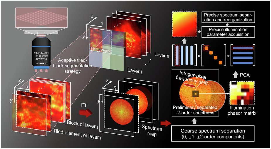 LightSciAppl's tweet card. Light: Science & Applications - Principal component analysis for three-dimensional structured illumination microscopy (PCA-3DSIM)
