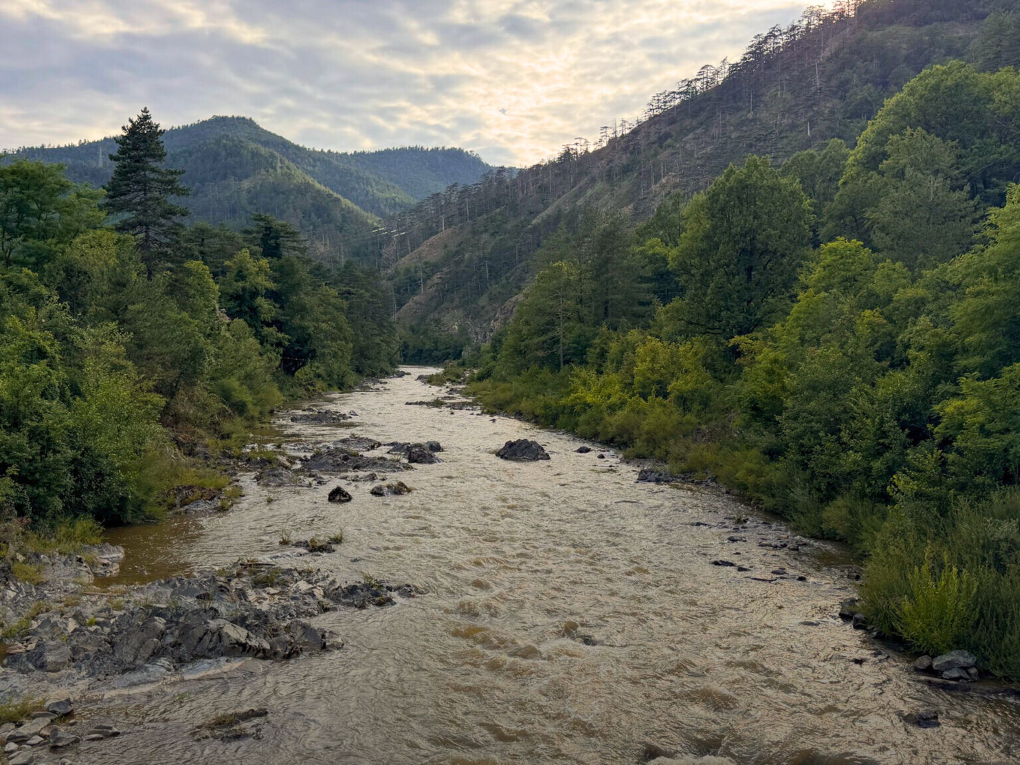 objavi_ba's tweet card. Organizacije civilnog društva iz Bosne i Hercegovine i mjesne zajednice u slivu rijeke Krivaje upućuju javan i odlučan zahtjev Premijeru i Vladi Zeničko-dobojskog kantona da, temeljem Ustava, obaveza...