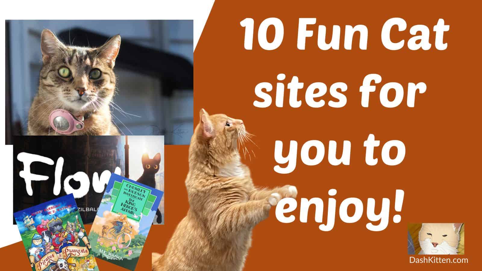 HarveyButtonNZ's tweet card. You will like this. No it's not a list of 'the best' it IS a fun selection of cat sites, cat book recommendations and movie snippets to warm your heart.