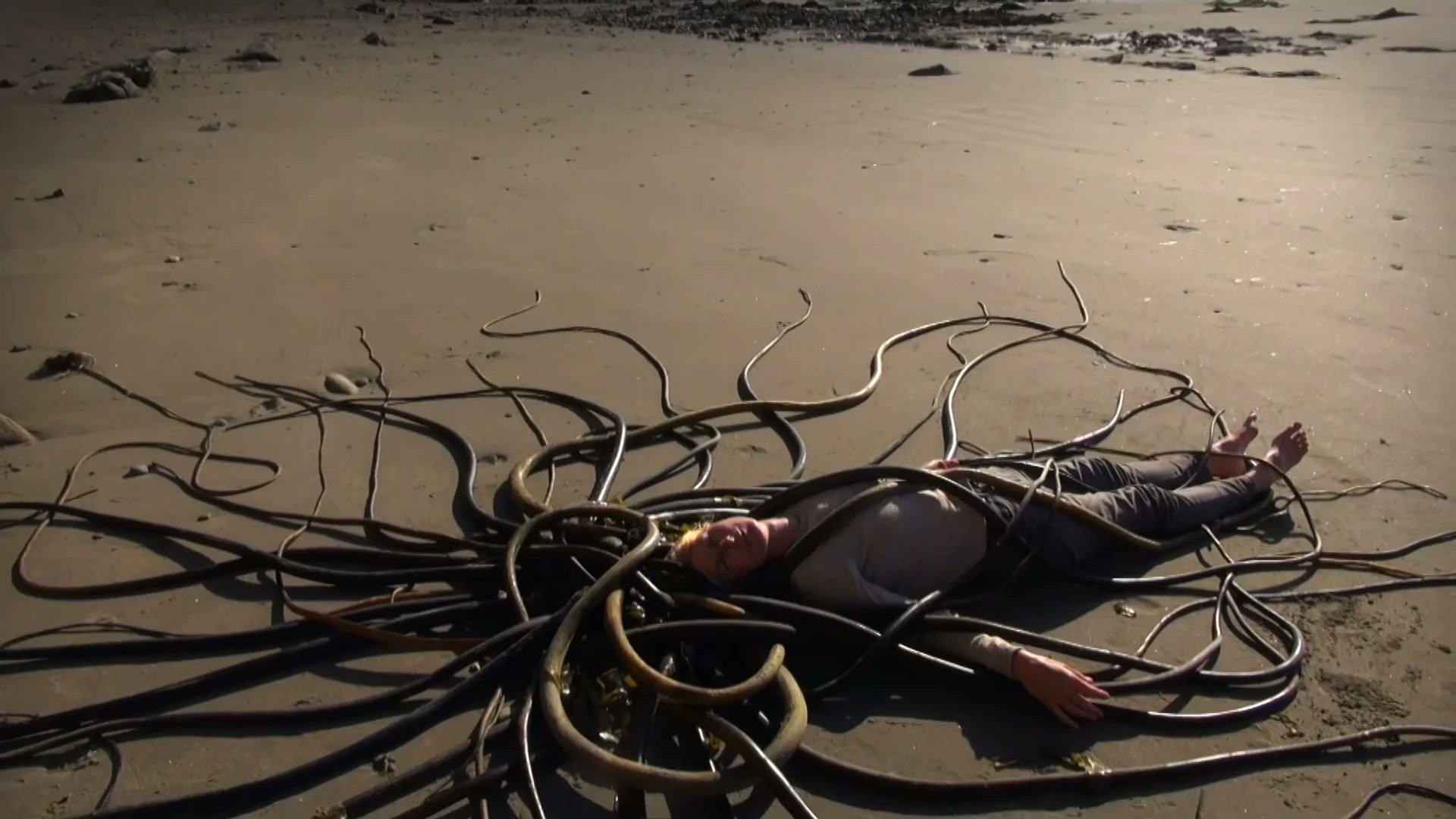 AlonnaShaw's tweet card. To Be With Trees