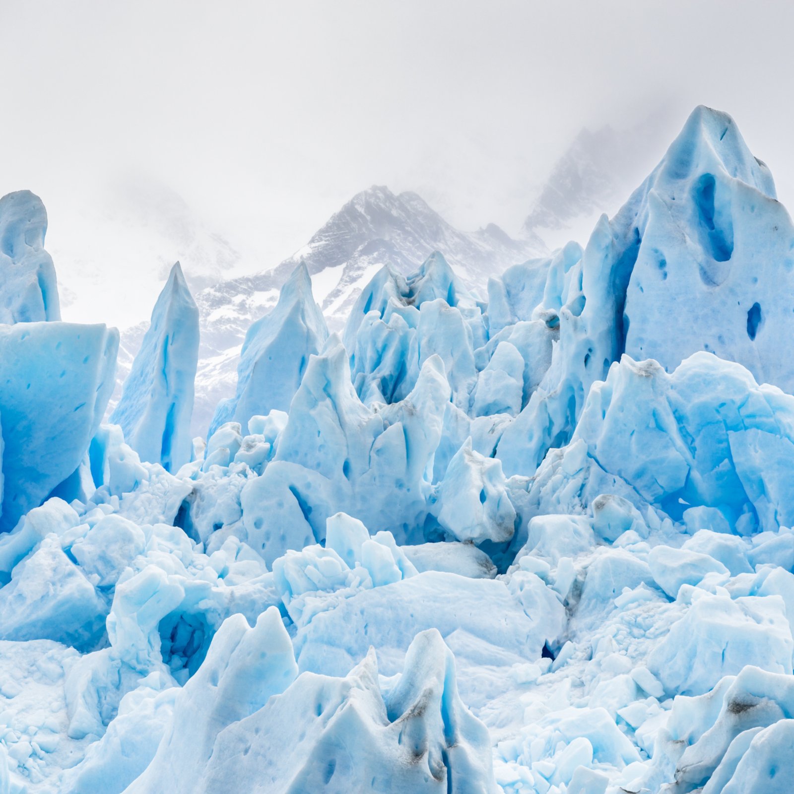 JoelKatz's tweet card. Ripple is the talk of the town right now, but can Ripple gateways freeze users' XRP, and if so what are the repercussions of this?