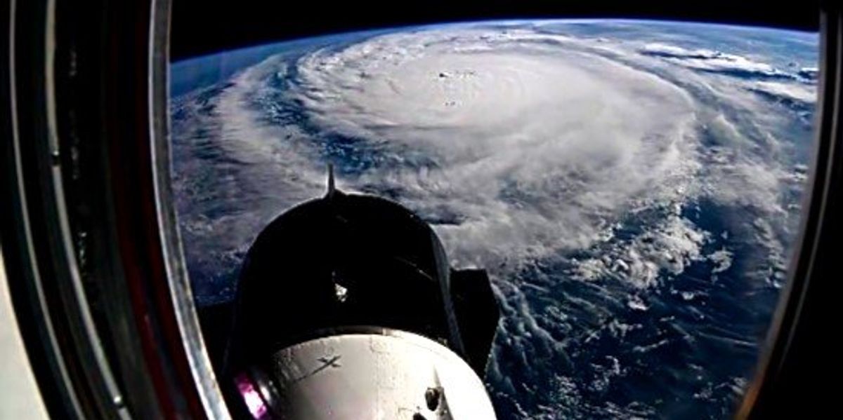 LabrasaurusMom's tweet card. Mother Nature has abruptly slammed upon our shores with an unmatched force and fury as our endless election season mercifully winds down toward its finishing kick, and if you don’t think she’s...