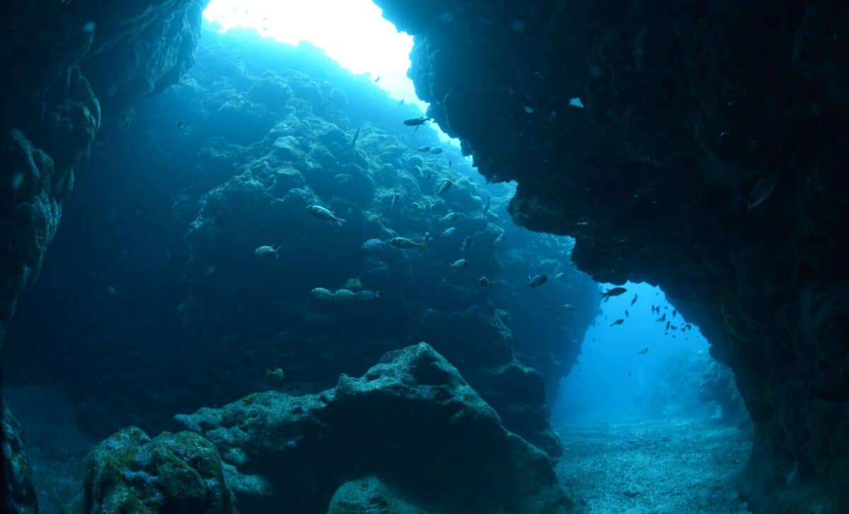 ETrekjedi's tweet card. A mysterious discovery in a submerged cave off Mexico's coast reveals Ice Age fossils of species that once roamed the Earth.