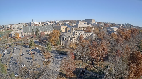 AmandaKluveld's tweet card. Tussen Protest en Intimidatie: De Normalisering van Antisemitisme in Nederlands Hoger Onderwijs een...