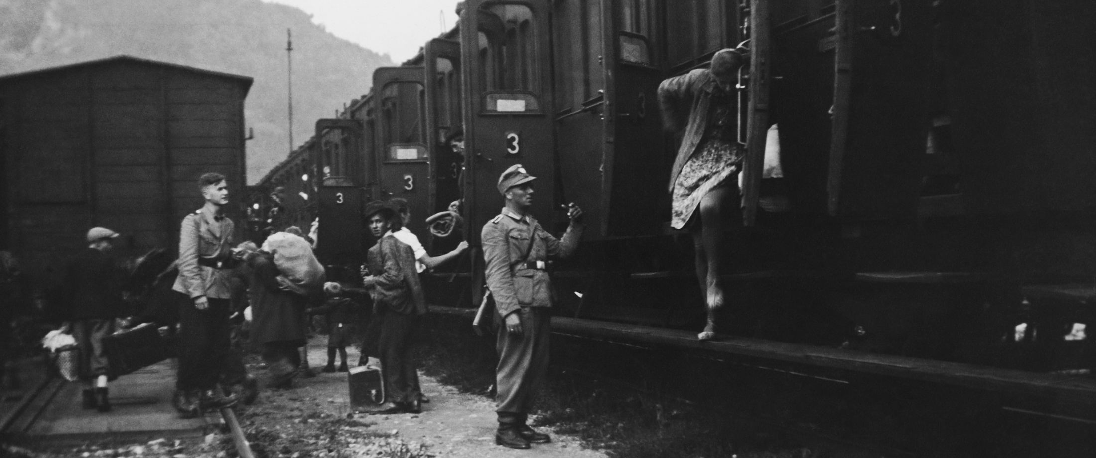 realprophetguy's tweet card. Focus on the Family regularly condemns eugenics as “pure evil” and condemns the “the wicked and immoral practice and study of trying to weed out certain genetic characteristics.” But the $135...