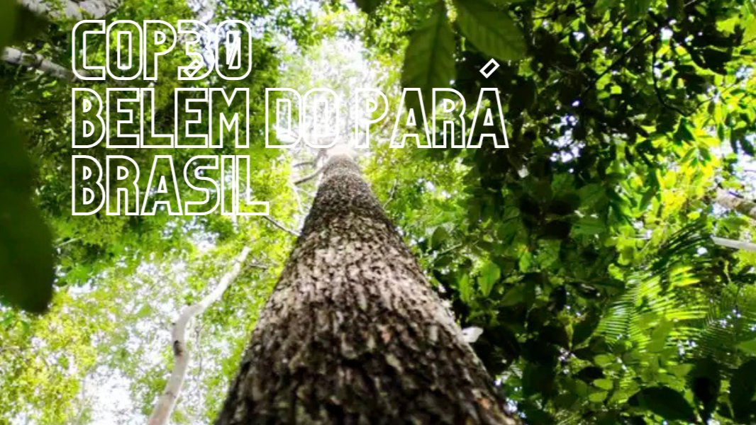 BlogdoCaioRocha's tweet card. O ano de 2025 marcará um momento histórico para o Brasil e para o mundo: pela primeira vez, uma COP do Clima será realizada na Amazônia. A cidade de Belém do Pará, rica em diversidade ambiental,...