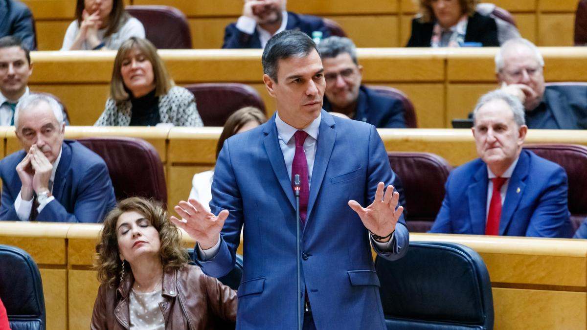CSalgado_'s tweet card. El PP ha desvelado cuál será su estrategia en la tramitación de la ley de Amnistía en el Senado, en la que jugará con los tiempos en función de sus intereses