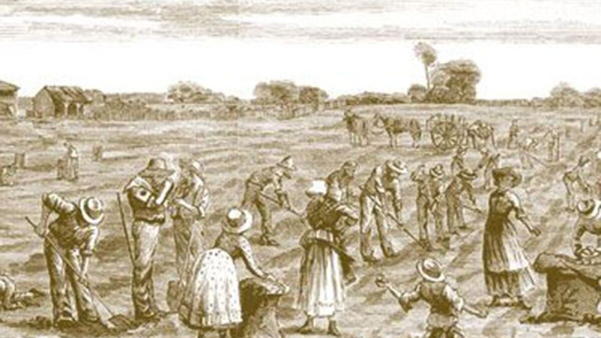 JCPSTinker's tweet card. The country of Ireland is reportedly stepping up with COVID-19 relief donations to the Navajo Nation, repaying a debt acquired in the 19th century during…