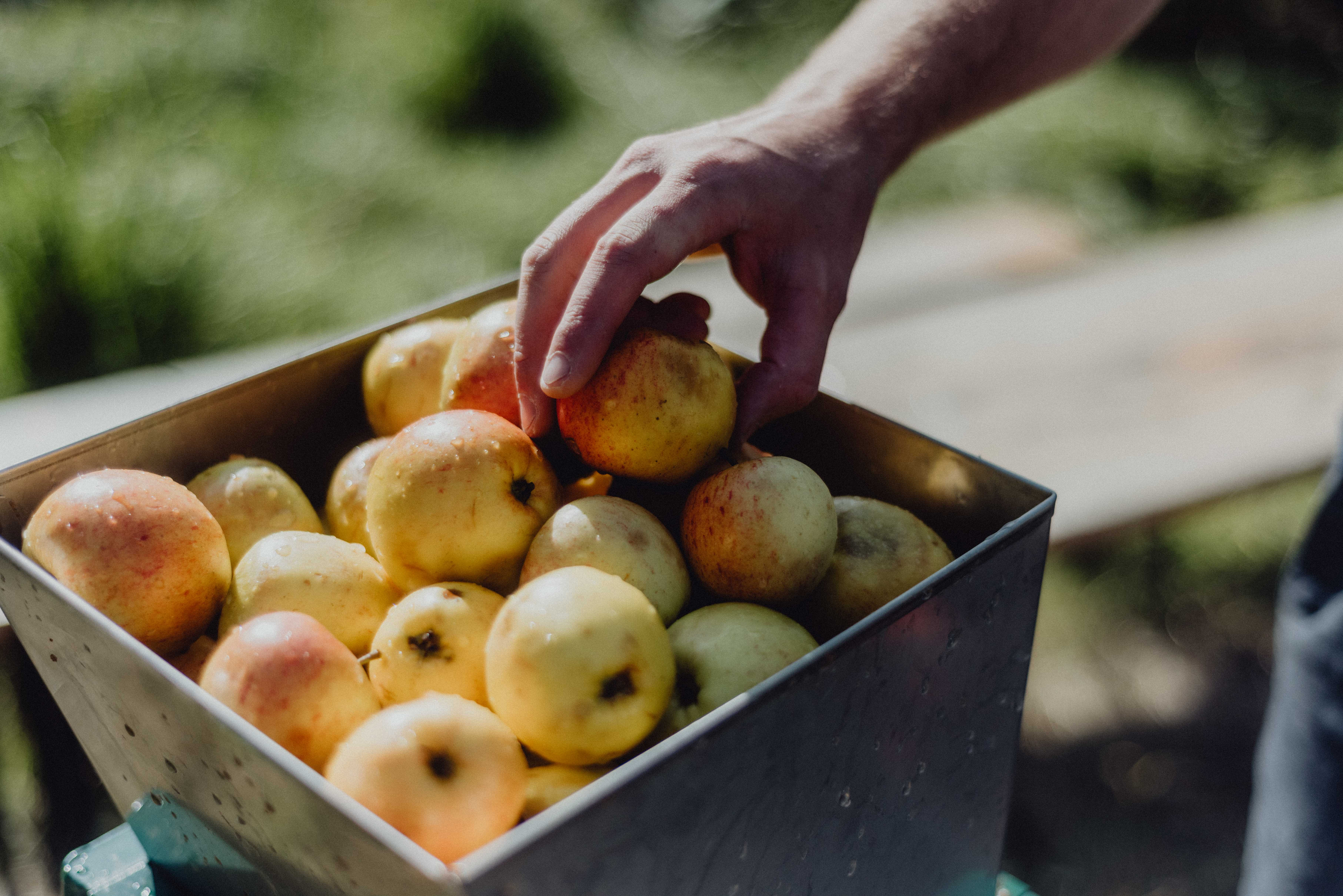 CAMRA_Official's tweet card. Supporting lifelong learning in beer, cider, perry and pubs through high-quality learner-focused content, carefully curated from trusted industry voices and our volunteer community.