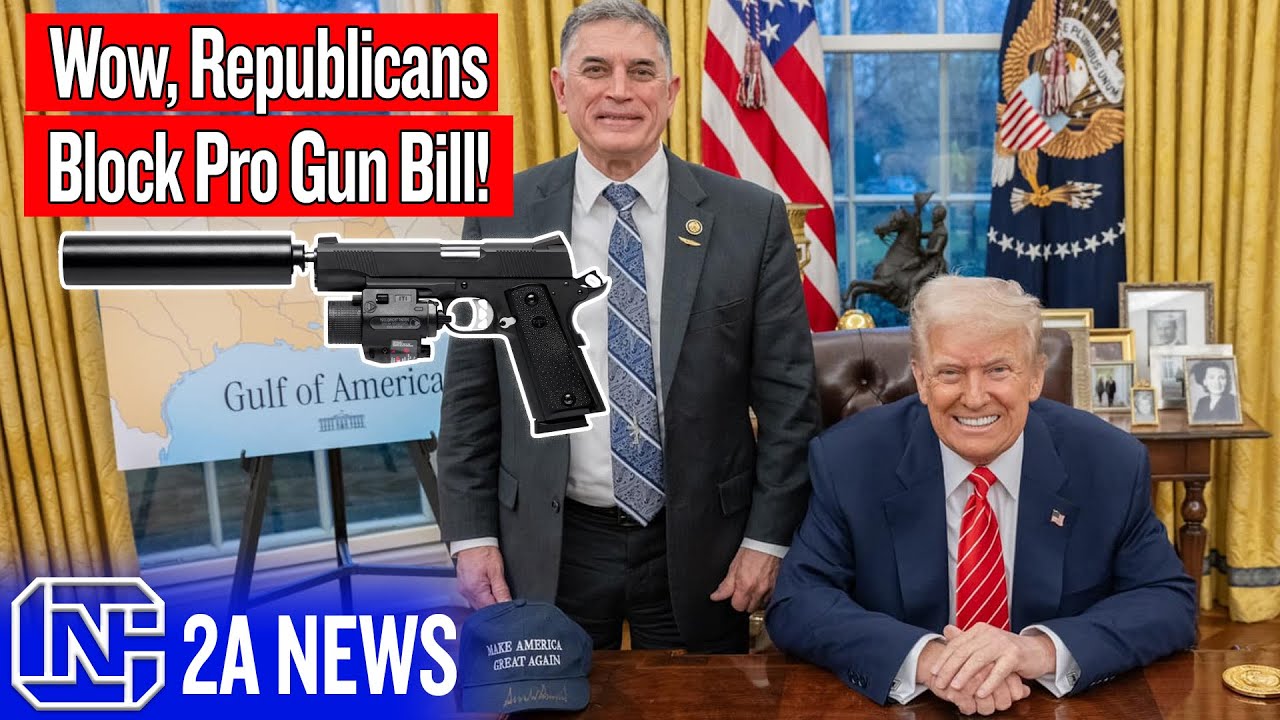 ScroungerXView's tweet card. Wow, Republicans Are Blocking A Pro Gun Bill!