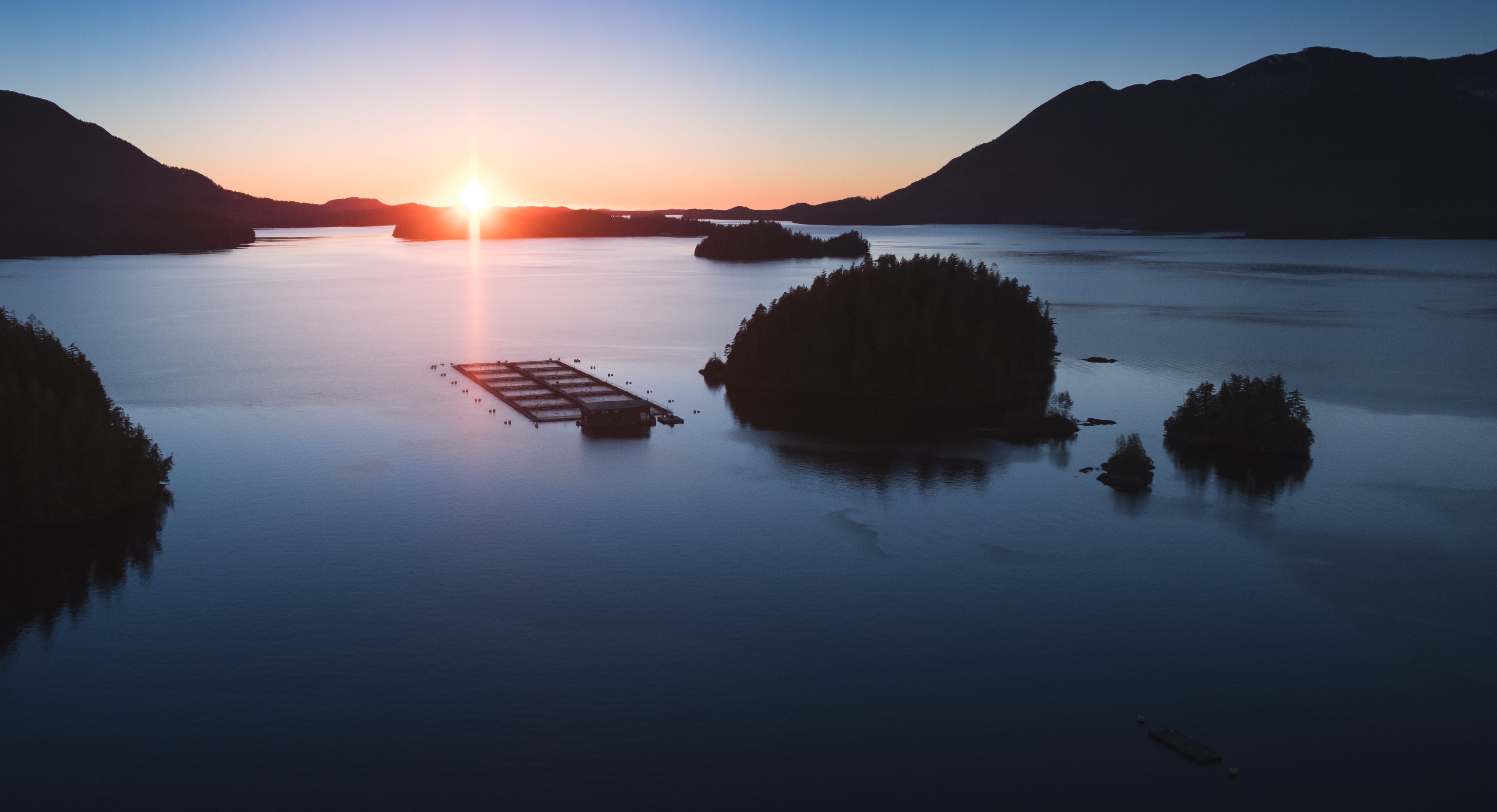 TheGAAIA's tweet card. Mowi confirmed it is appealing the decision, which marks the third attempt to have the Discovery Islands ban reviewed by the courtsThe Watershed Watch