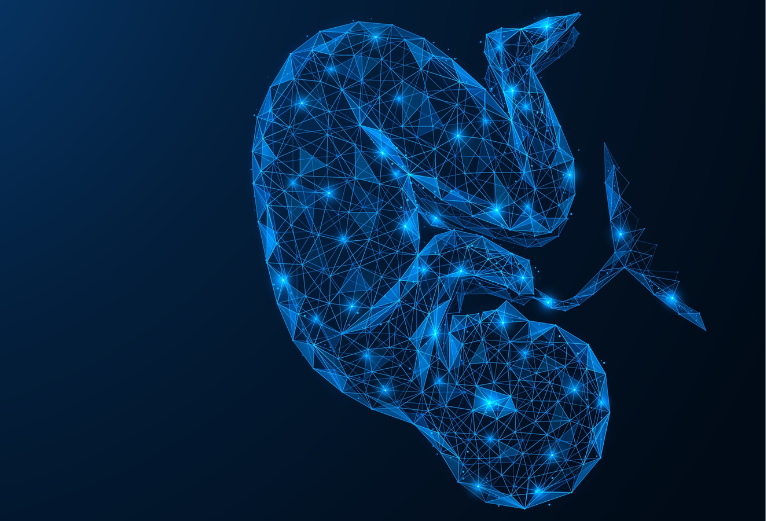 EPG_Placenta's tweet card. Join us in London to shape the future of placental research and improve clinical management during the stages of pregnancy.