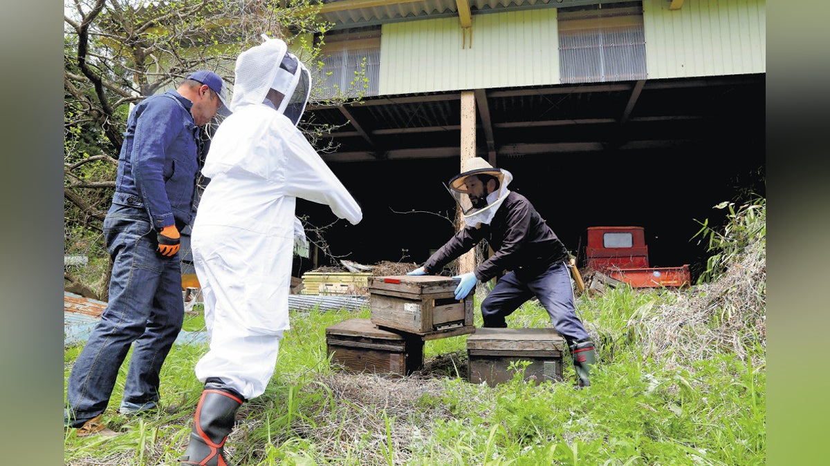 IER_Fukushima's tweet card. 【読売新聞】　福島大などの研究チームが今月から、福島第一原発事故の帰還困難区域などでミツバチを飼育し、ハチミツに含まれる放射性物質濃度などを分析する研究を進めている。ミツバチは巣の周辺２キロを行動範囲とする習性があり、ハチミツの分析