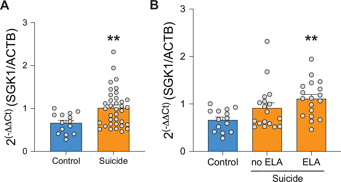 Der_Scientist's tweet card. Molecular Psychiatry - Hippocampal SGK1 promotes vulnerability to depression: the role of early life adversity, stress, and genetic risk