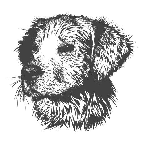 DarkarmyMRRobo1's tweet card. Always so polite...