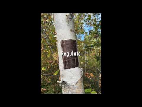 JudithRenaud's tweet card. 'PILGRIMAGE' Educators for Sensible Drug Policy - 2025 SD 480p