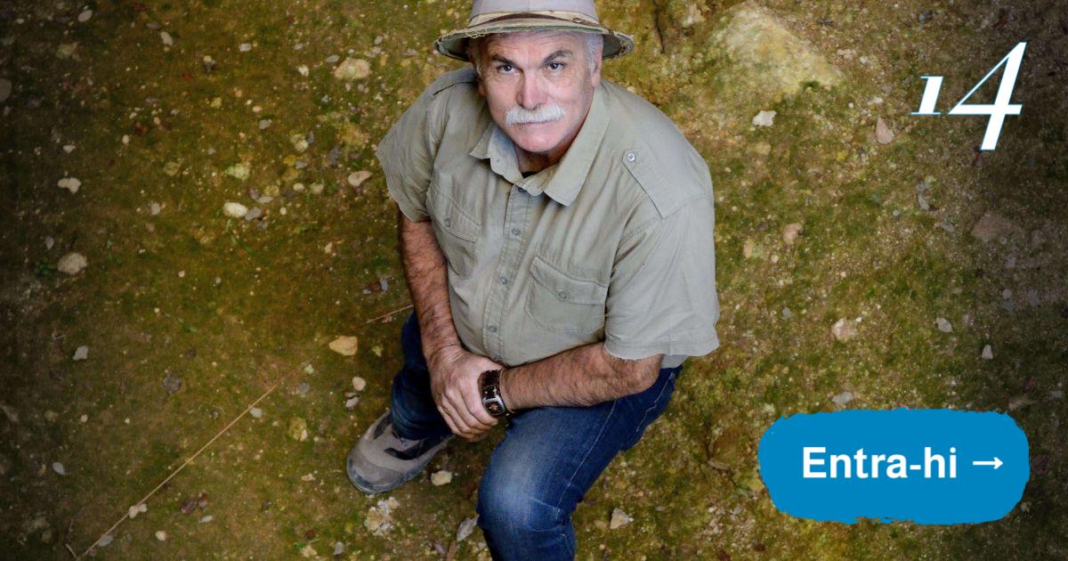 seritjol's tweet card. L'arqueòleg diu que «cal canviar tenir valors per tenir consciència»