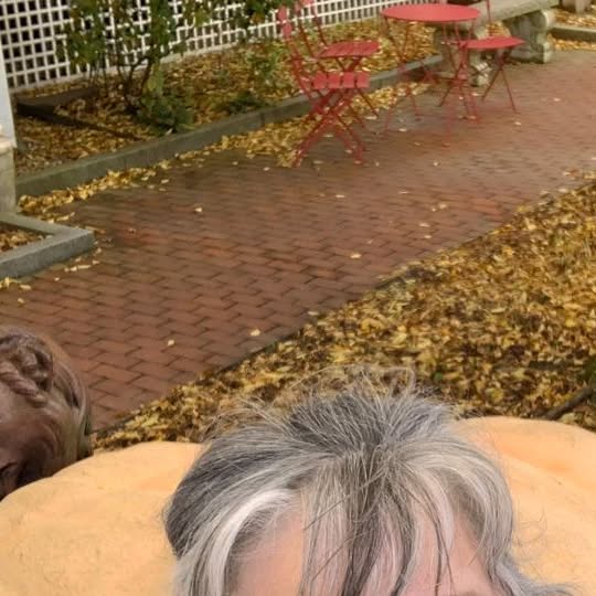 JenSageRob's tweet card. Jen Sage-Robison (@willfulwoman) • Instagram photo