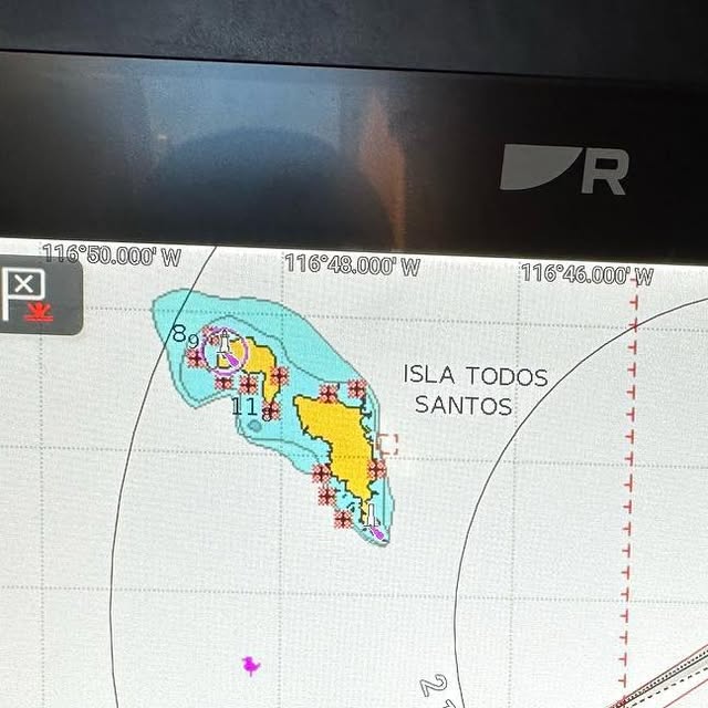 svnereida's tweet card. Jeanne Socrates (@jeannesocrates) • Instagram photo