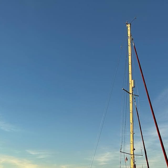 svnereida's tweet card. Jeanne Socrates (@jeannesocrates) • Instagram photo