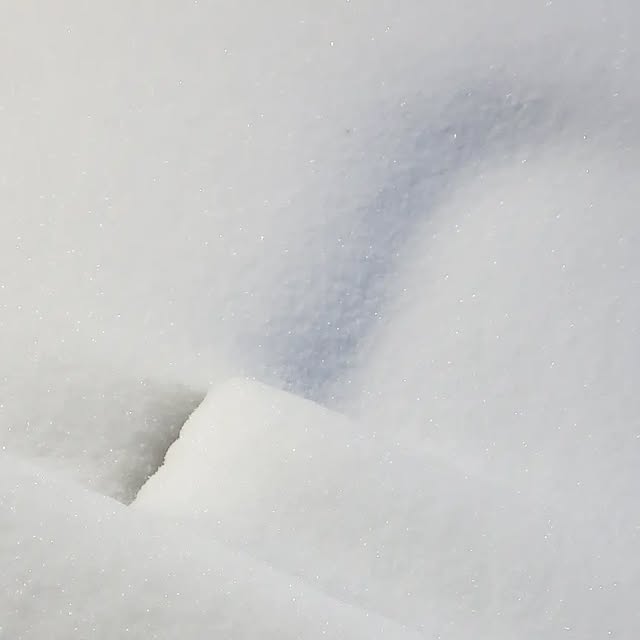 isuzukanada's tweet card. Isuzu Kanada (@isuzukanada) • Instagram photo