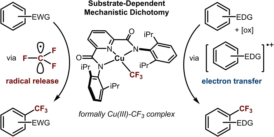ZhangLabOSU's tweet card. Copper(II) and copper(III) trifluoromethyl complexes were used to elucidate the mechanism of Cu-mediated C(sp2)−H trifluoromethylation. For electron-rich substrates, a previously unidentified single...