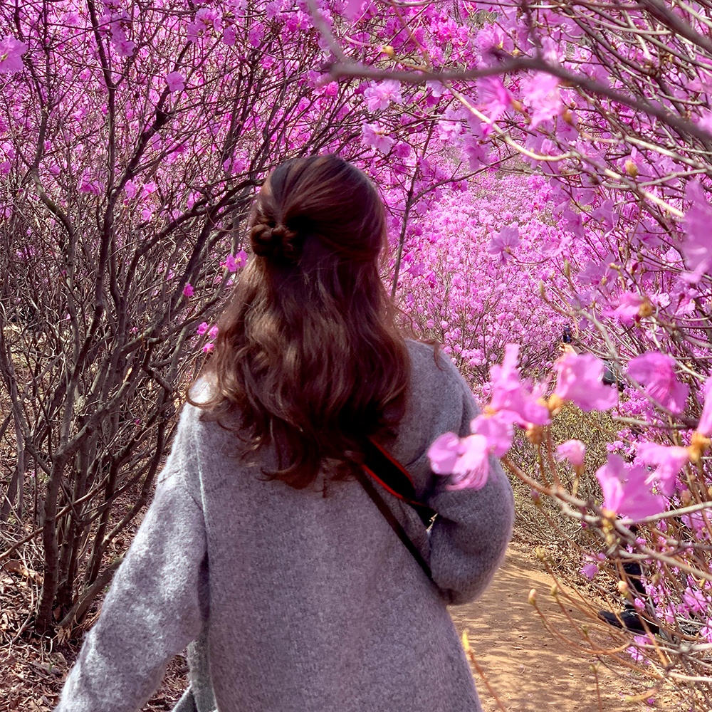 MathersRoger's tweet card. Care in Death - Bringing the Funeral Home by Claire Turnham of Only With Love