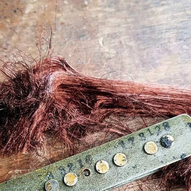 Fabsbox's tweet card. Fabian Schweiger (@fabguitars) • Instagram photos and videos