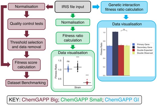 Hannahmayyd's tweet card. AbstractMotivation. High-throughput chemical genomic screens produce informative datasets, providing valuable insights into unknown gene function on a geno