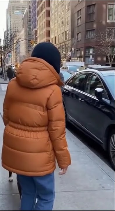 DorianLanglois7's tweet card. Pitbull Runs to His Old Owner – Real Emotional Street Reunion 😢🐾