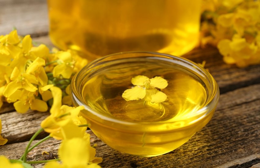 LinksCommodity's tweet card. The uneven and unstable supply of sunflower seeds from farmers did not allow oilseed processing enterprises to form sufficient stocks during the last marketing year MY 2024/25), which ended on July...