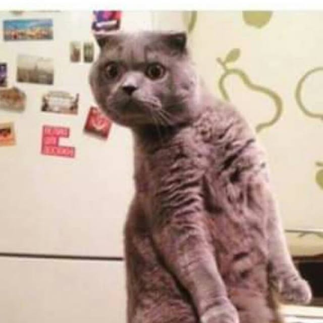 JobAggravations's tweet card. Brown (@idontiniateicircumnavigate) • Instagram photo