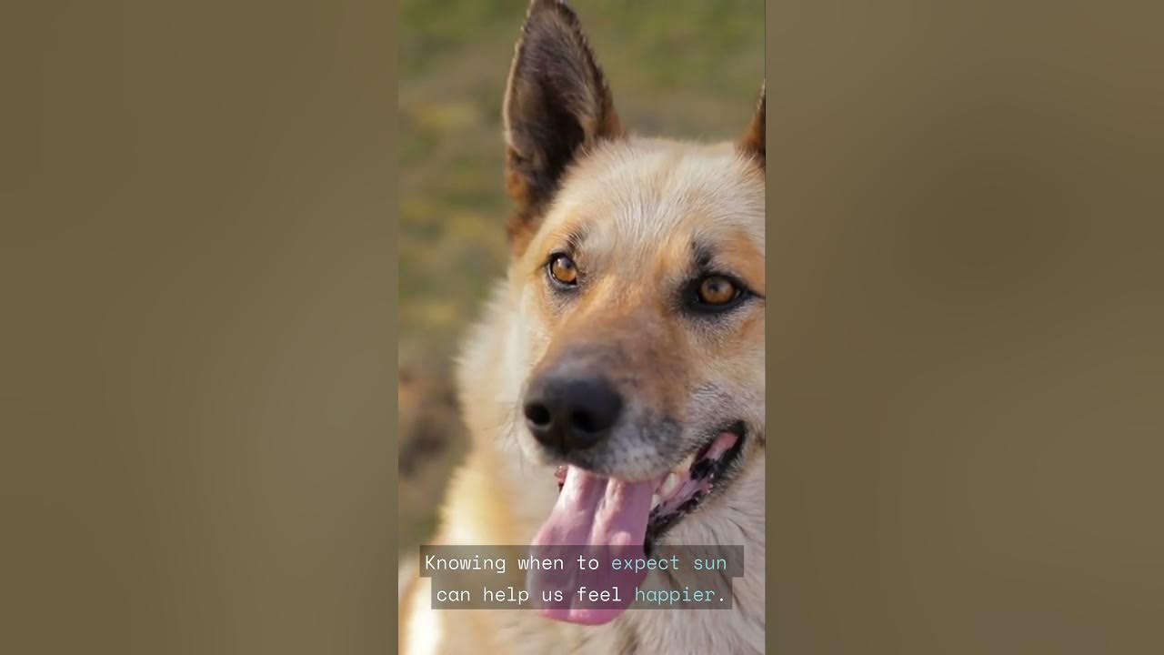 kakonged's tweet card. The Importance of the Weather #languageclasses #frenchlanguage...