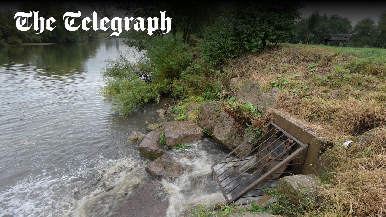 Feargal_Sharkey's tweet card. Environment Agency has no dedicated group of people concentrating solely on the issue, despite the scale of the problem