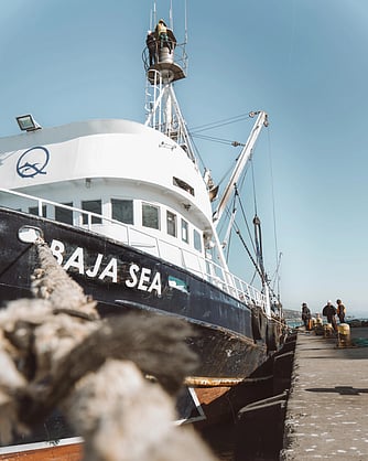 WEAREAQUAC's tweet card. Baja Aqua-Farms acquires US processor to expand bluefin tuna production