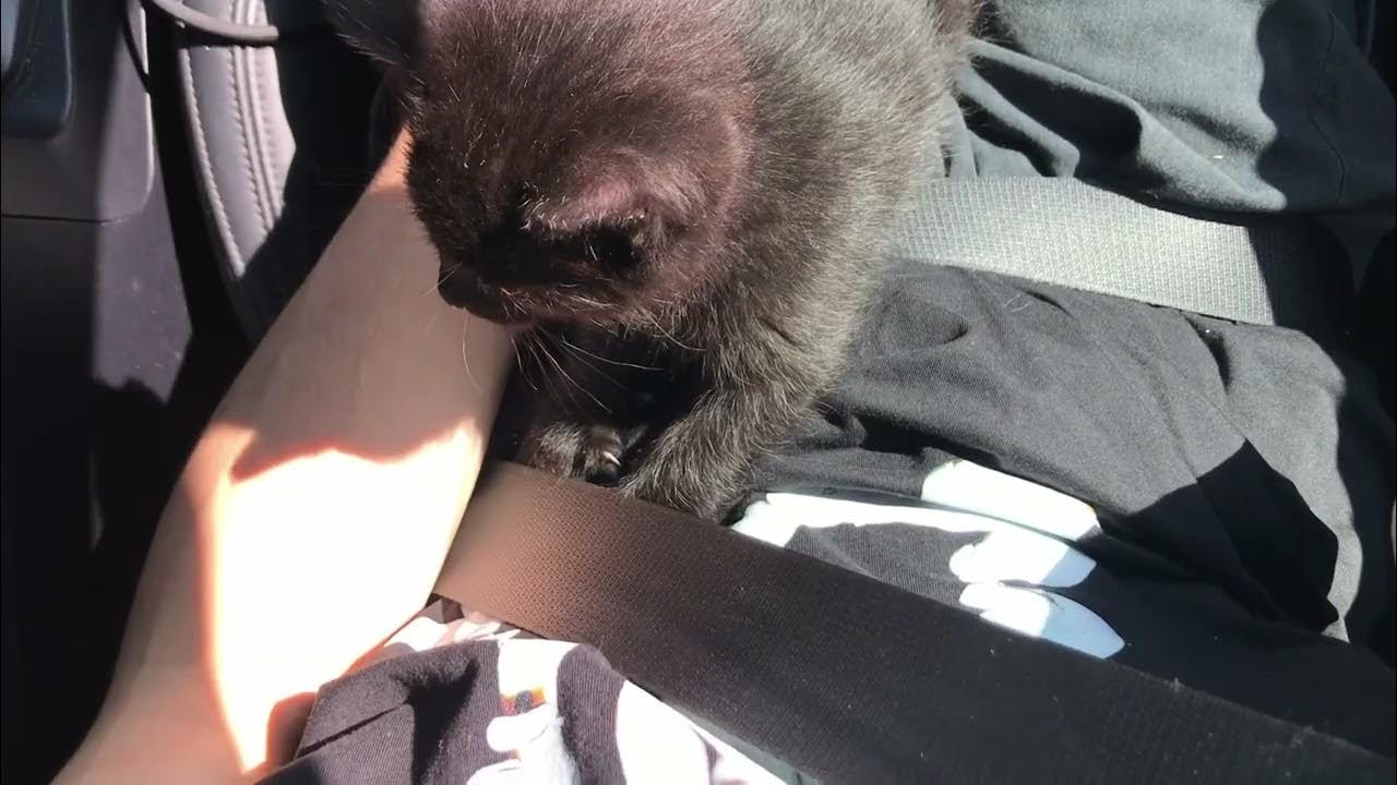 jessekanda's tweet card. Doon Kanda - all of the world so natural