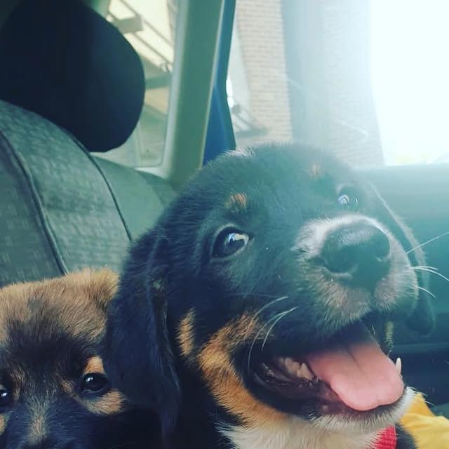 keithnin's tweet card. Keith Kirkland (@keithiuskamilli) • Instagram photos and videos