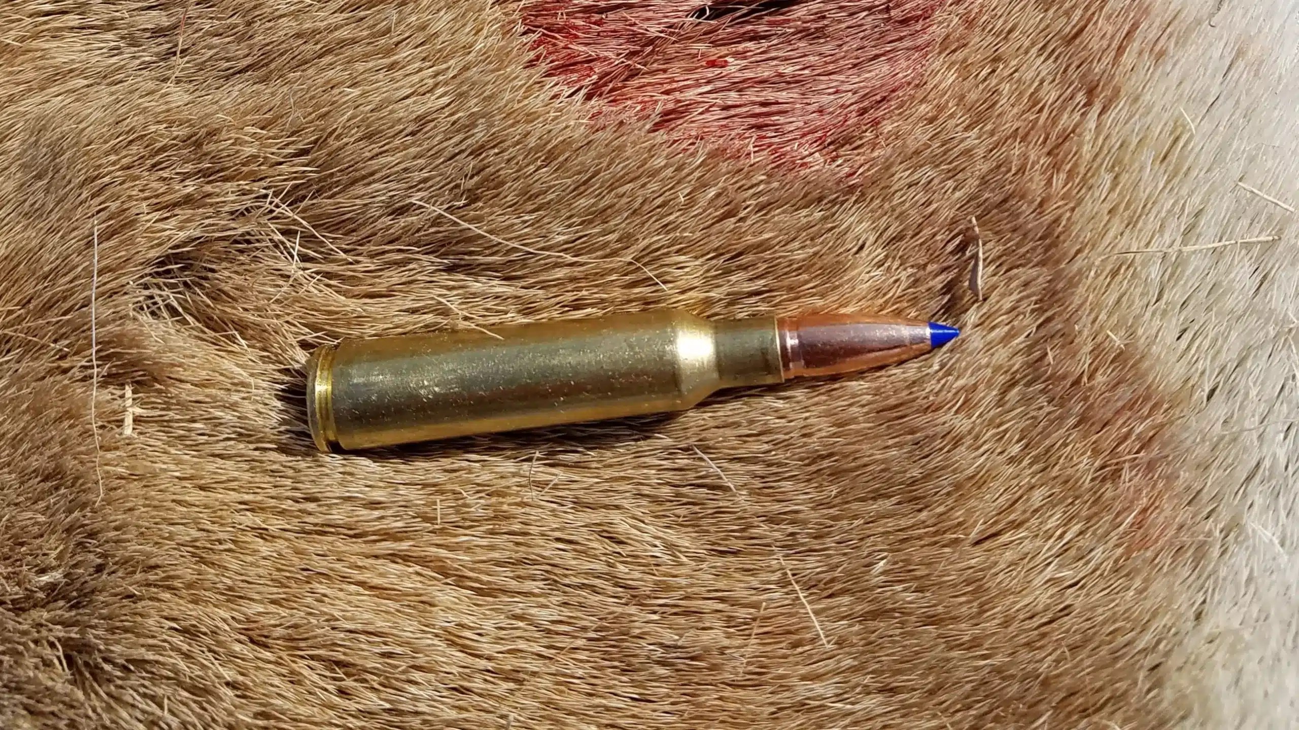 MyReloadingTeam's tweet card. Explore expert insights on selecting the ideal caliber for big game hunting in 2026. Learn about top cartridges and their performance.