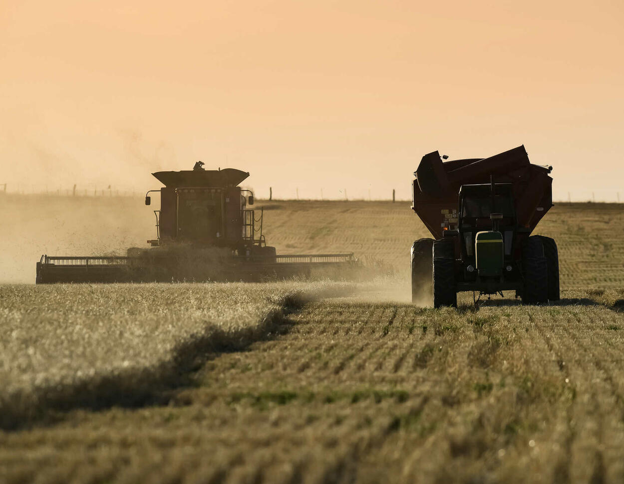 RenateKuenast's tweet card. „Argentiniens Landwirtschaft leidet unter einer beispiellosen Klimakrise“, hatte die argentinische Getreidebörse Rosario am Mittwoch mitgeteilt.