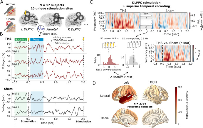 esolomon's tweet card. Transcranial magnetic stimulation (TMS) is believed to alter ongoing neural activity and cause circuit-level changes in brain function. While the electrophysiological effects of TMS have been...