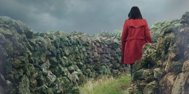 AlfaguaraES's tweet card. "El nuevo noir nórdico nacido en un lluvioso rincón de España", dice The Guardian de esta premiada novela.