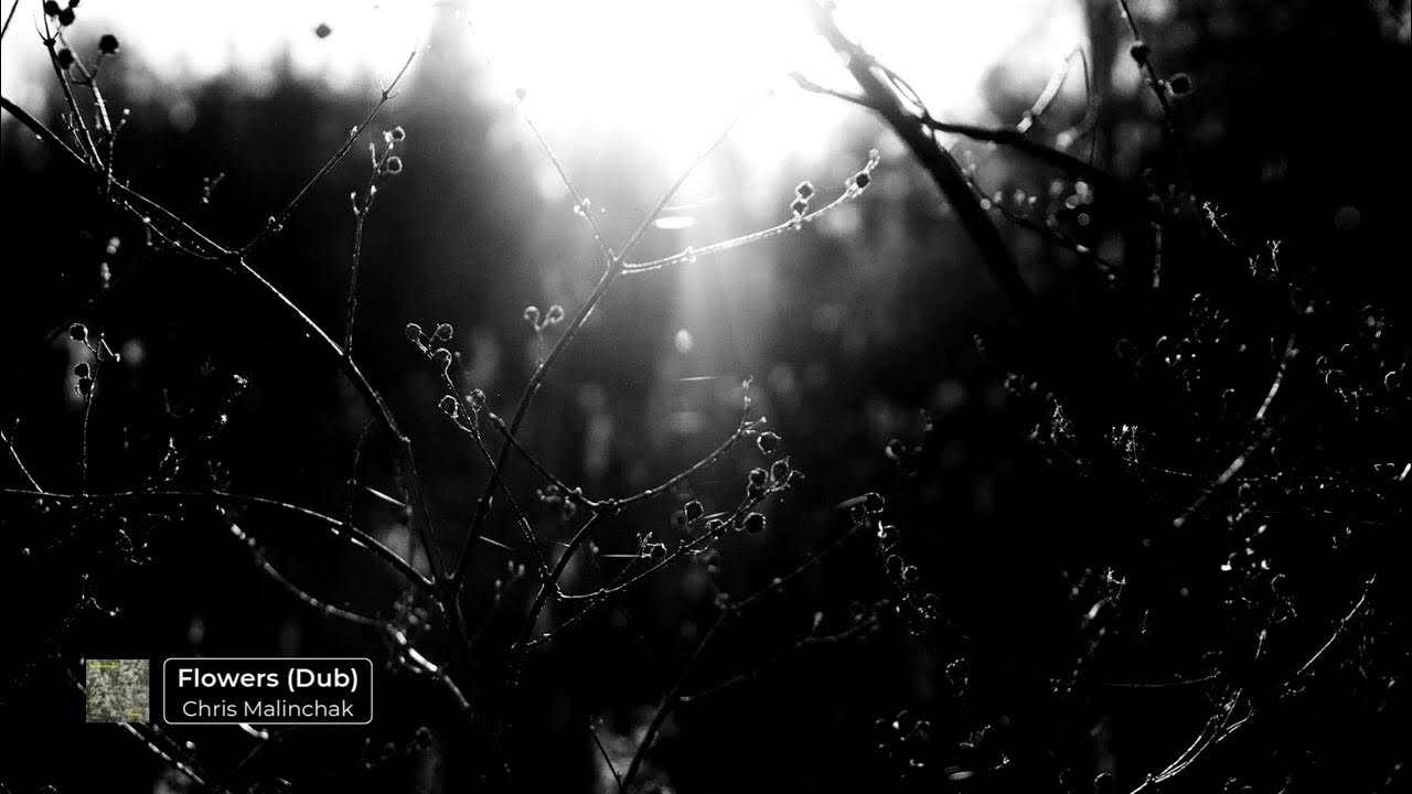 ReddWebDev's tweet card. Chris Malinchak - Flowers (Dub)