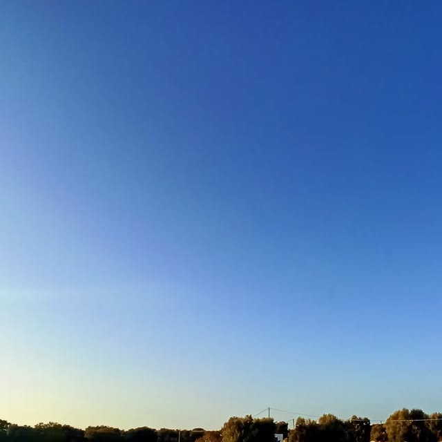 makgiuse's tweet card. Maki Tanaka (@gallinarossafarm) • Instagram photos and videos