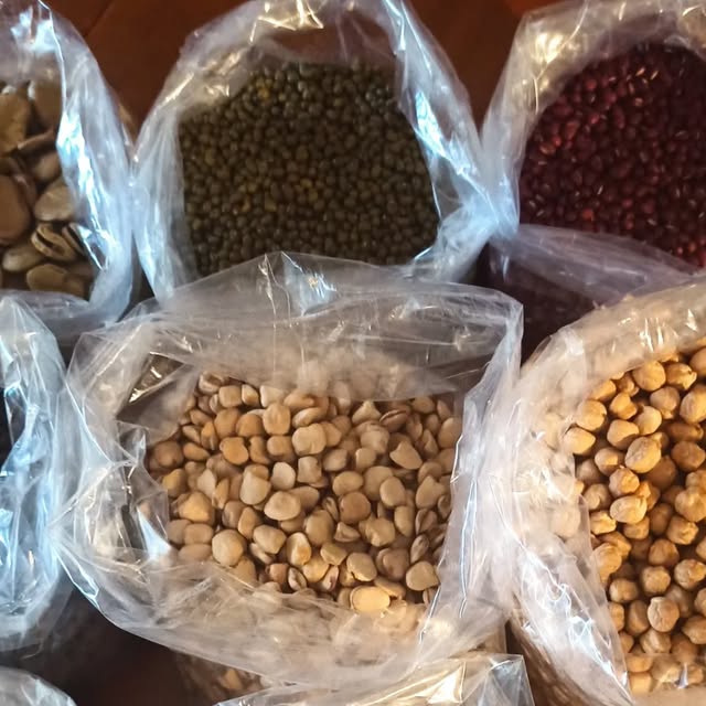 makgiuse's tweet card. Maki Tanaka (@gallinarossafarm) • Instagram photos and videos