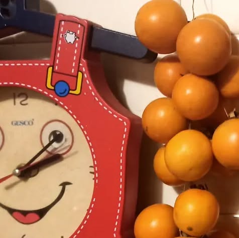 makgiuse's tweet card. Maki Tanaka (@gallinarossafarm) • Instagram photos and videos