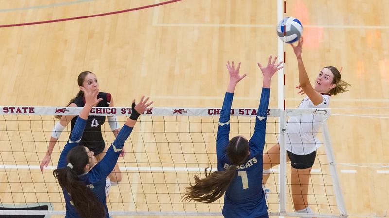 ALLONEFAM's tweet card. SAN MARCOS, Calif. – The Chico State volleyball team rallied from a two-set deficit to stun Cal State San Marcos 3–2 (18–25, 19–25, 25–21, 25–16, 15–9) Saturday afternoon at The Sports Center. The...