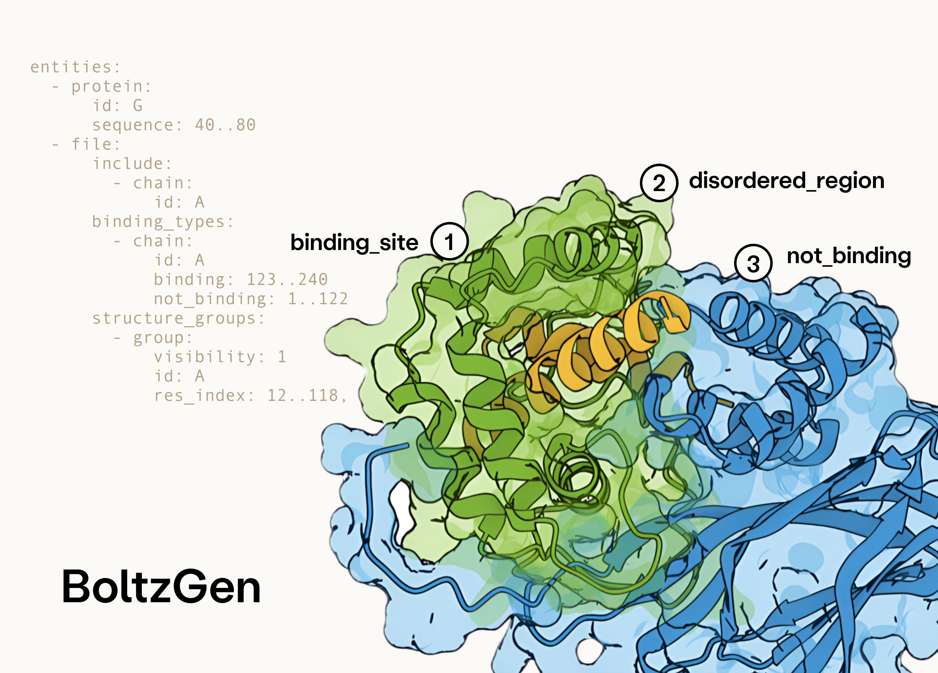 TheMarkFdn's tweet card. BoltzGen is a new generative model for designing protein and peptides of any modality to bind a wide range of biomolecular targets.
