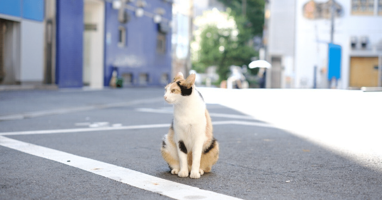 x_fujifilm's tweet card. 富士フイルムXカメラ関連のnoteをまとめるマガジン「FUJIFILM X notes」を運営しています。2023年10月にマガジンにまとめた記事の中で エックス（旧Twitter）で反応が大きかった記事をピックアップしました。 📷 2023年10月｜pickup カメラ初心者がFUJIFILM X-S20を買って途方に暮れた話 カメラ製造メーカーとして生き残るということ。 何をとち狂った...